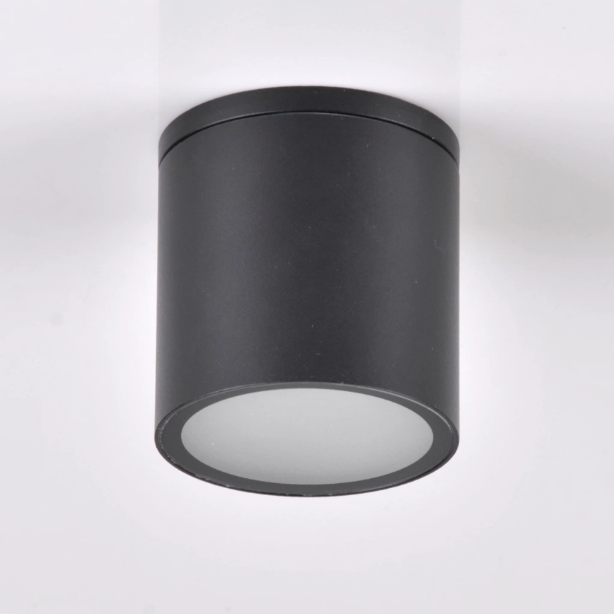 Spot d'extérieur OHIO 1xGU10/10W/230V IP54 noir