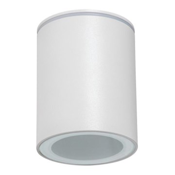 Spot extérieur AQILO 1x GU10/7W/230V IP65 blanc