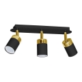Spot JOKER 3xGU10/25W/230V noir/doré