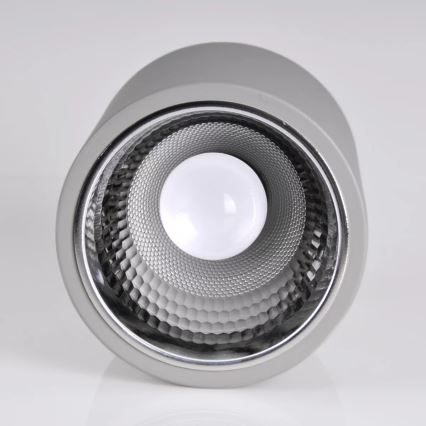 Spot JUPITER 1xE27/20W/230V d. 16,5 cm gris