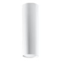 Spot LAGOS 1xGU10/10W/230V 20 cm blanc