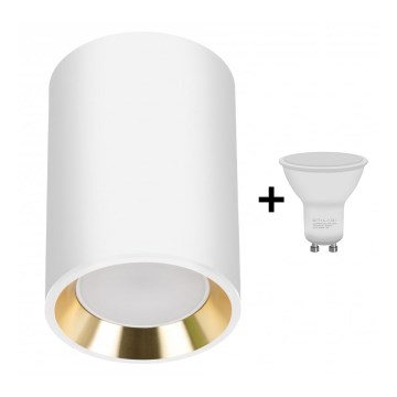 Spot LED CHLOE 1xGU10/6W/230V arrondi blanc/doré