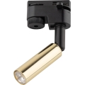 Spot LED pour système de rail monophasé LAGOS 1xG9/3W/230V doré/noir
