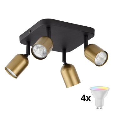 Spot LED RGBW dimmable TOP 4xGU10/6,5W/230V 2700-6500K doré/noir