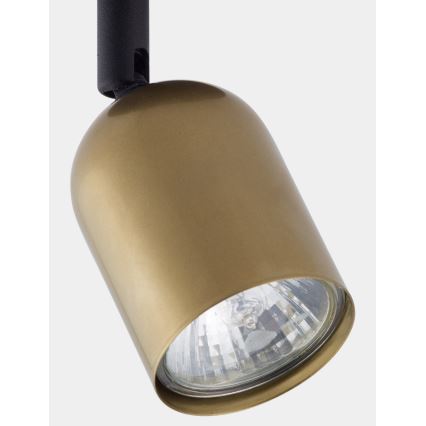 Spot LED TOP 1xGU10/10W/230V doré/noir