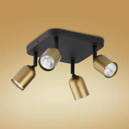 Spot LED TOP 4xGU10/10W/230V doré/noir