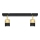 Spot LED TUBSSON 2xGU10/4,8W/230V noir/doré