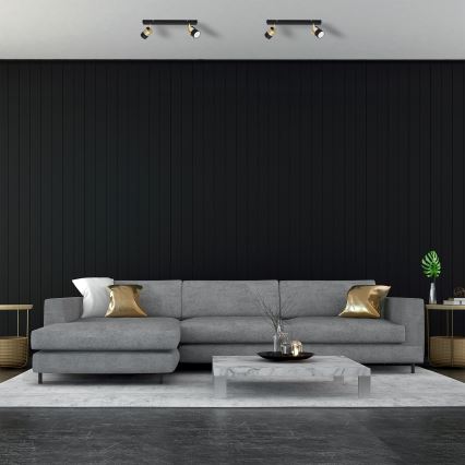 Spot LED TUBSSON 2xGU10/4,8W/230V noir/doré