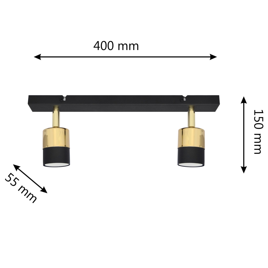 Spot LED TUBSSON 2xGU10/4,8W/230V noir/doré