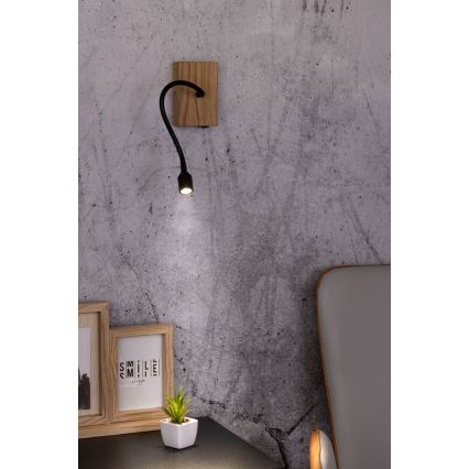 Wandleuchte LECTOR LED/2,5W/230V Eiche – FSC-zertifiziert