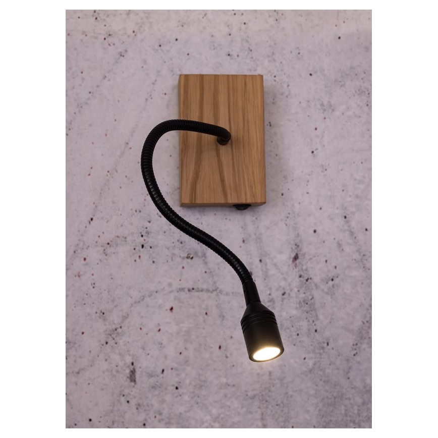 Wandleuchte LECTOR LED/2,5W/230V Eiche – FSC-zertifiziert