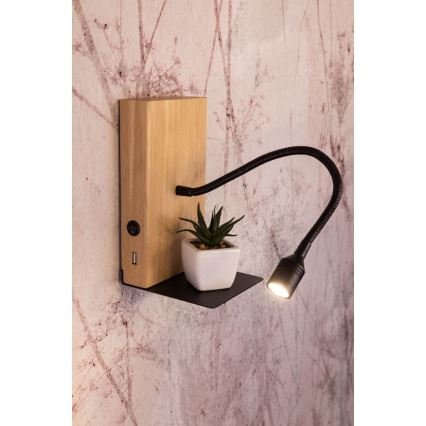 Wandleuchte LECTOR LED/2,5W/230V USB Eiche – FSC-zertifiziert