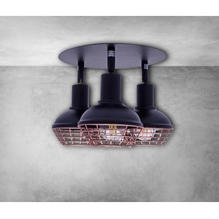 Spot LOGAN 3xE14/40W/230V