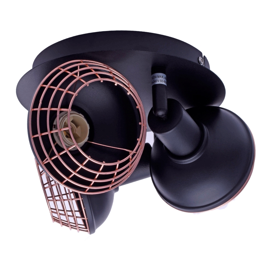 Spot LOGAN 3xE14/40W/230V