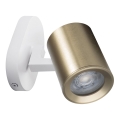 Spot mural LAURIN 1xGU10/10W/230V laiton/blanc