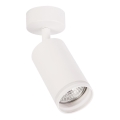 Spot PIPE 1xGU10/10W/230V blanc