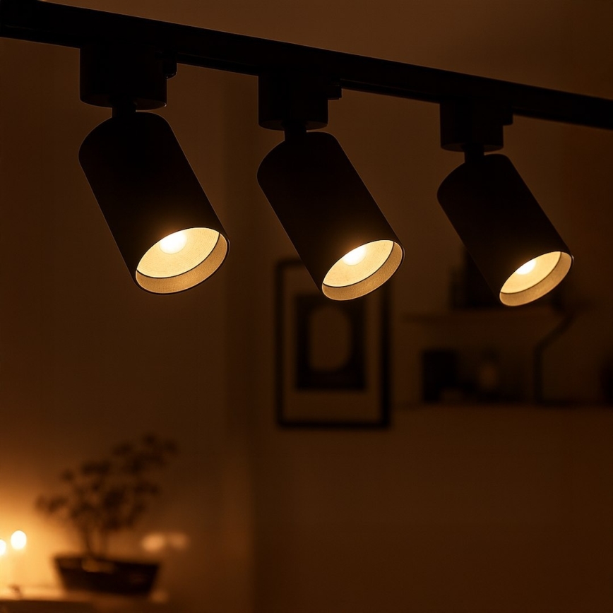 Spot pour rail monophasé TIGER 1xGU10/10W/230V noir