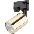 Spot pour système de rail TOP 1xGU10/10W/230V doré/noir