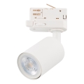 Spot pour système de rail triphasé TOP 1xGU10/10W/230V blanc