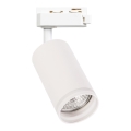 Spot pour système sur rails monophasé PIPE 1xGU10/10W/230V blanc