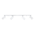 Spot RING 4L 4xGU10/10W/230V blanc