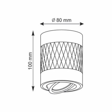 Spot RUBIN 1xGU10/10W/230V noir