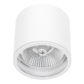 Spot salle de bain CHLOE AR111 1xGU10/12W/230V IP65 arrondi blanc