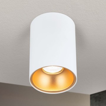 Spot STARLIGHT 1xGU10/50W/230V blanc/or