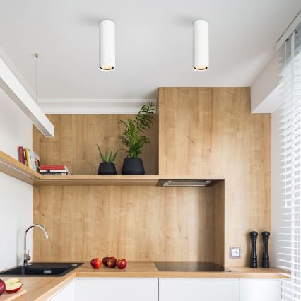 Spot TUNE M 1xGU10/10W/230V 17 cm blanc