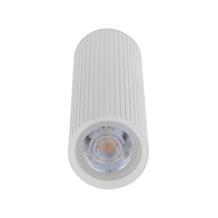 Spot TUNE M 1xGU10/10W/230V 17 cm blanc