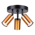 Spot WINX 3xGU10/10W/230V noir/cuivre