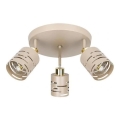 Spotleuchte ELEN 3xE27/35W/230V Beige/Gold