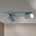Spotleuchte PENN 2xGU10/13W/230V grau