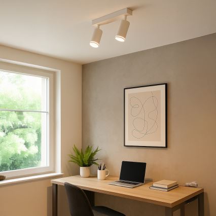 Spotleuchte PIPE 2xGU10/10W/230V weiß