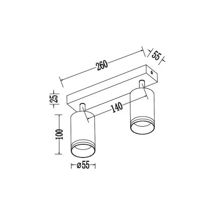 Spotleuchte PIPE 2xGU10/10W/230V weiß