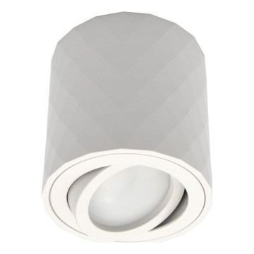 Spotleuchte ZOLA 1xGU10/30W/230V weiß