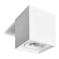 Spotlight QUANDO G53/50W/230V