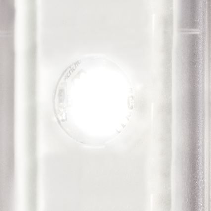 STEINEL 010461 - Lampada LED da esterno con sensore L240LED LED/7,5W acciaio inossidabile IP44