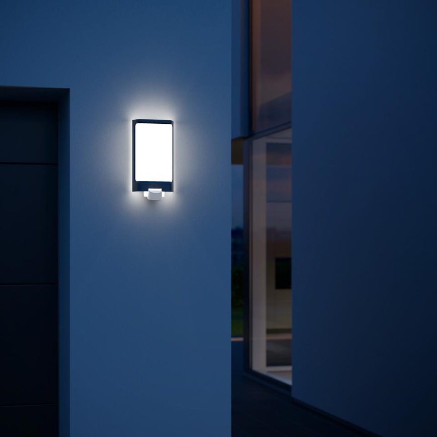 Steinel 056506 - Luminaire d'extérieur LED avec détecteur L 240 LED/7,5W/230V IP44