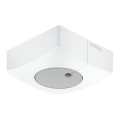 Steinel 057411 - Sensore di luce DUAL-E DALI2 quadrato bianco