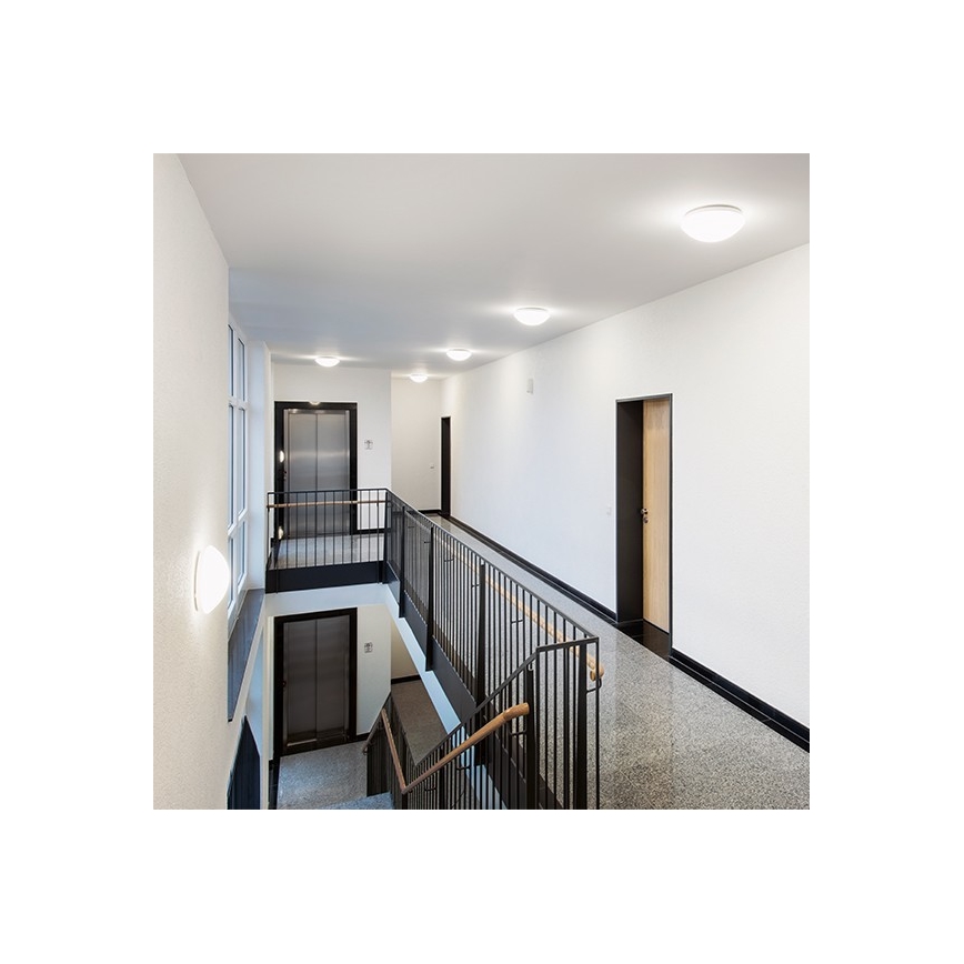 STEINEL 064815 - Plafonnier salle de bain avec détecteur RS PRO LED/9,5W/230V 4000K IP54