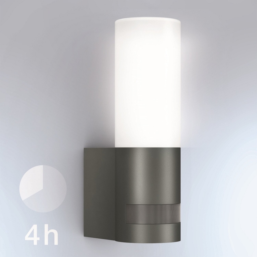 Steinel 065287 - Luminaire d'extérieur LED avec détecteur L 605 LED/9,5W/230V IP44 anthracite
