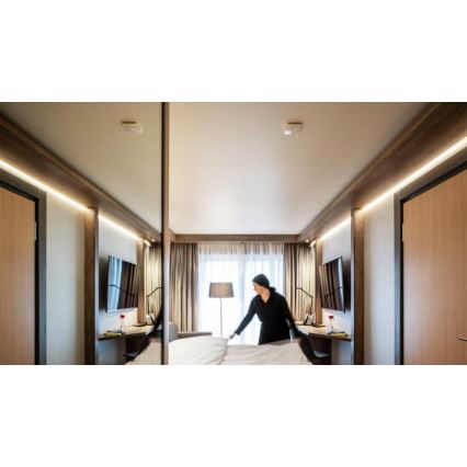 Steinel 066024 - Rilevatore di presenza True Presence IP bianco