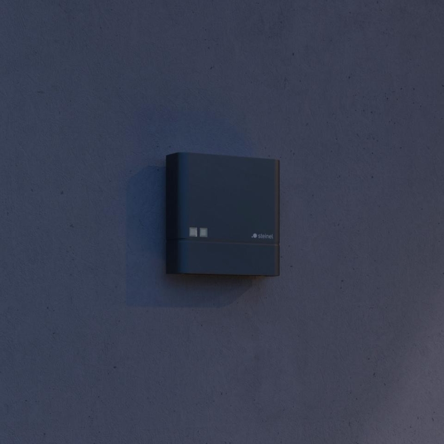 Steinel 066116 - Dämmerungsschalter NIGHTMATIQ Plus IP54 anthrazit