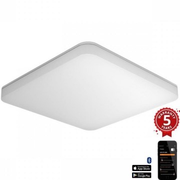 Steinel 067731- Plafonnier LED à intensité variable avec détecteur RS PRO R20 PLUS 15,86W/230V IP40 4000K