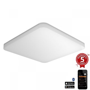 Steinel 067786 - Plafonnier LED à intensité variable avec détecteur RS PRO R30 Q plus SC 23,9W/230V 3000K IP40