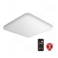 Steinel 067878-Plafoniera LED con sensore RS PRO LED/23,4W/230V IP40 4000K