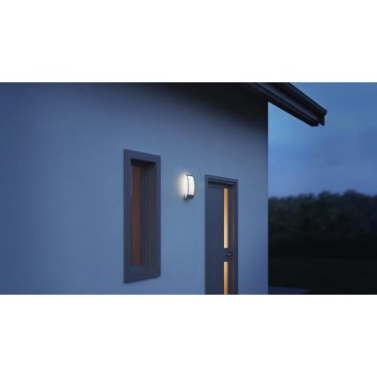 Steinel 069254 - Outdoor-Wandleuchte L 22 1xE27/60W/230V IP44 anthrazit