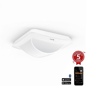 Steinel 079475 - Rilevatore di presenza Corridoio KNX bianco