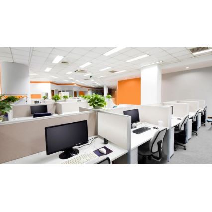 Steinel 079574 - Détecteur de présence DualTech COM1 blanc